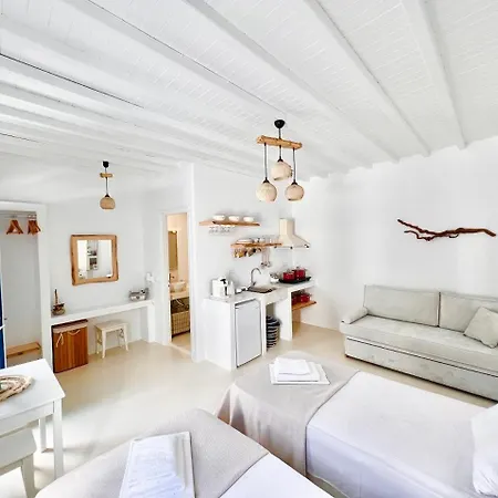 公寓 Alkisti Next To The Windmills Of Mykonos